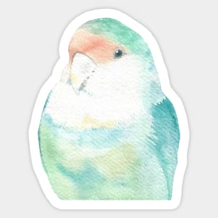 Lovebird watercolor portrait 2 Sticker